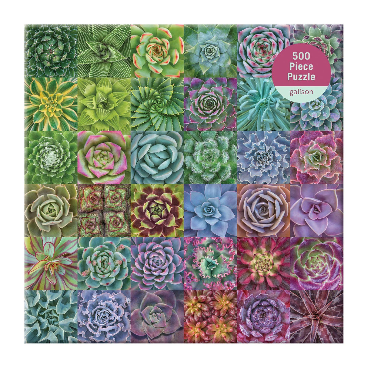 Close-up of puzzle pieces highlighting the intricate succulent designs by Galison with 500 pieces