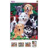 Playful Paws - Fluffy Fuzzballs 300 Piece EZ Grip Puzzle by MasterPieces