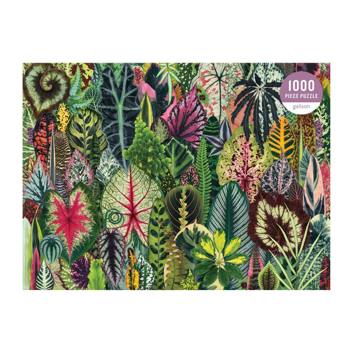 Close-up of Houseplant Jungle puzzle pieces with detailed leaf patterns and shapes 1000 pieces by Galison