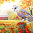 SunsOut Morning At the Old Farm 300-piece jigsaw puzzle with farm scene