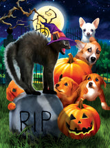 Fun Halloween Puzzle with a black cat by SunsOut. Halloween Jigsaw Puzzle. 