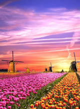 Magical Sunrise in the Netherlands 500 Piece Jigsaw Puzzle by Clementoni