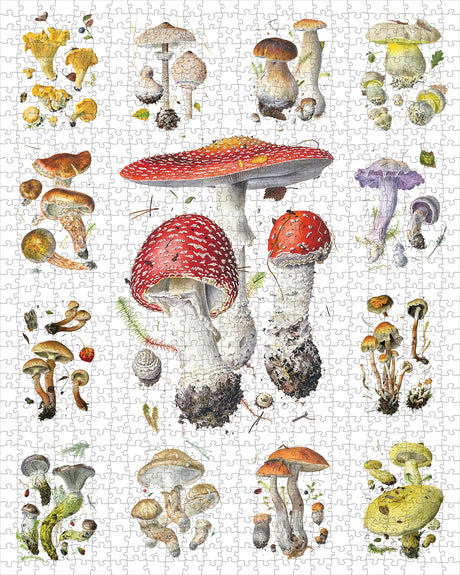 Mushrooms: Alexander Viazmensky 1000-Piece Jigsaw Puzzle by Pomegranate
