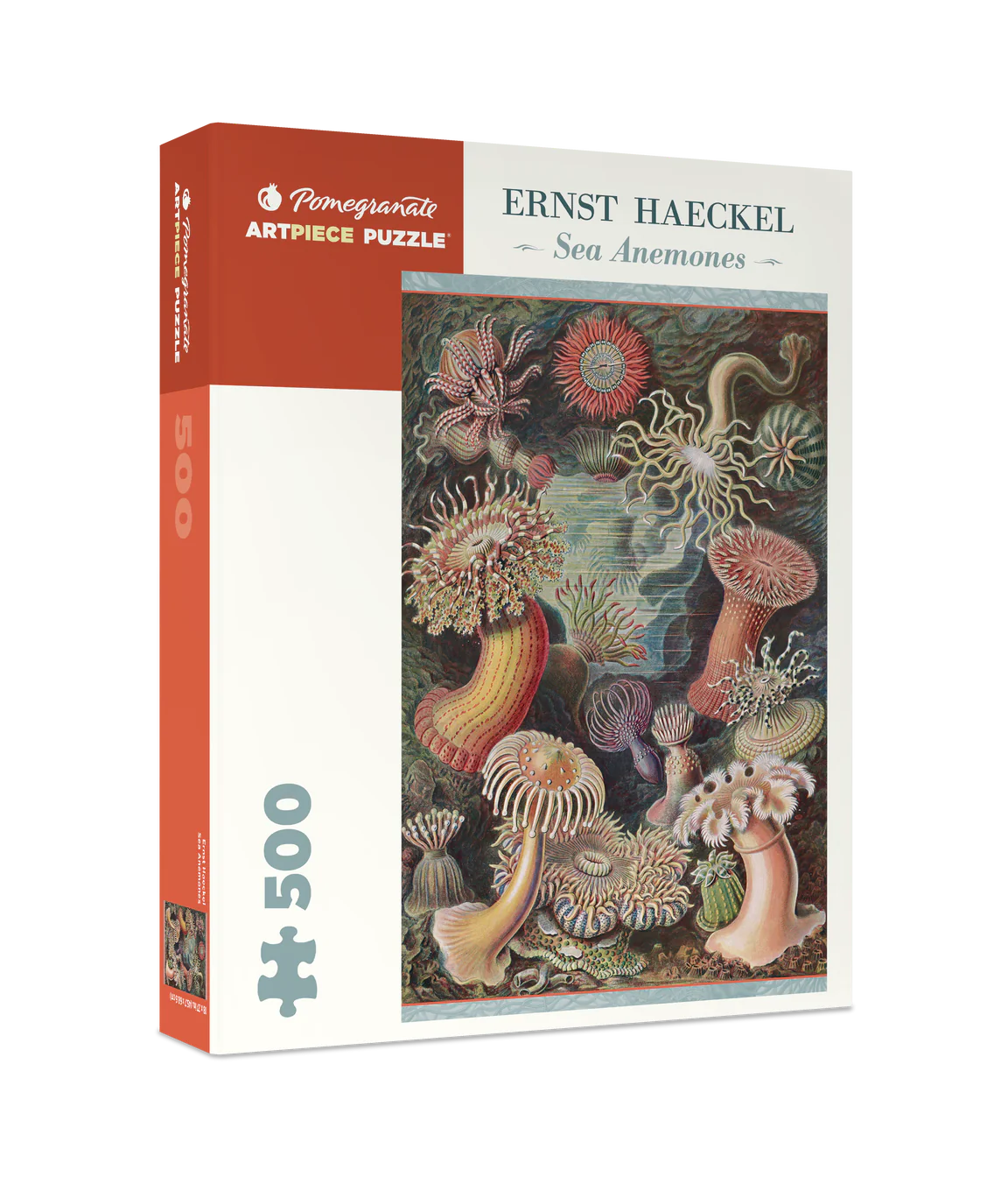 Ernst Haeckel: Sea Anemones 500-Piece Jigsaw Puzzle by Pomegranate