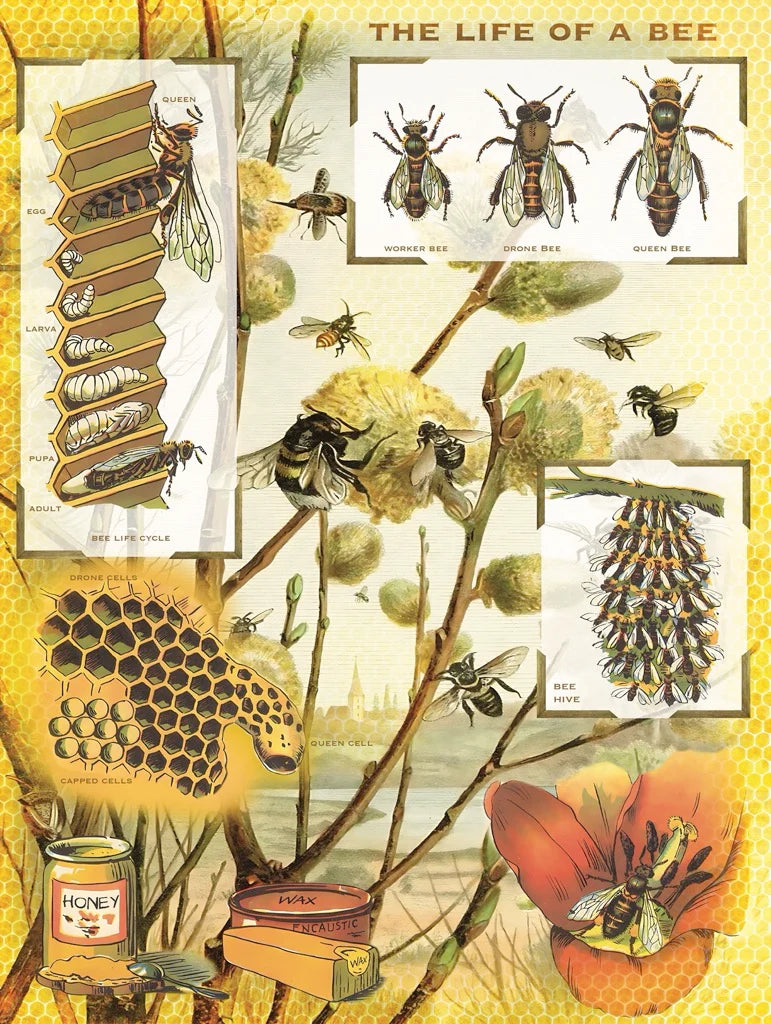 Bees & Honey 1000 Piece Jigsaw Puzzle