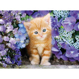 Ginger Cat - 500 Piece Jigsaw Puzzle by Clementoni