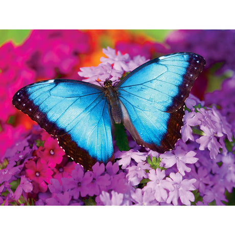 Brilliance - Iridescence 550 Piece Puzzle by MasterPieces | Stunning Blue Butterfly Jigsaw Puzzle