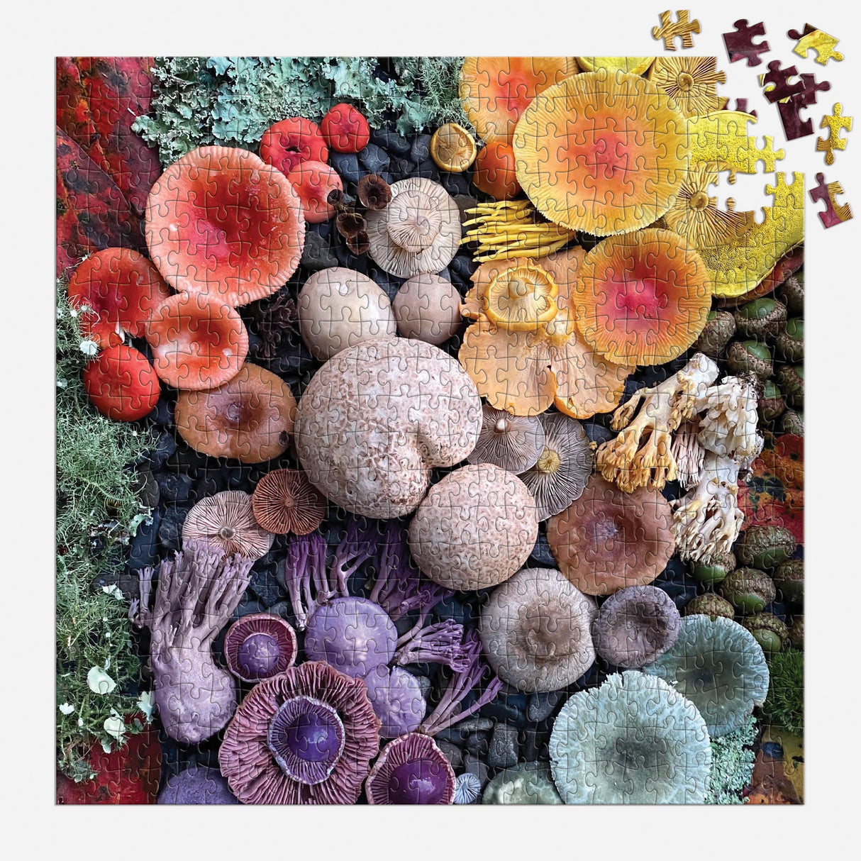 Completed Shrooms in Bloom puzzle by Galison showcasing colorful fungi in various shapes and sizes