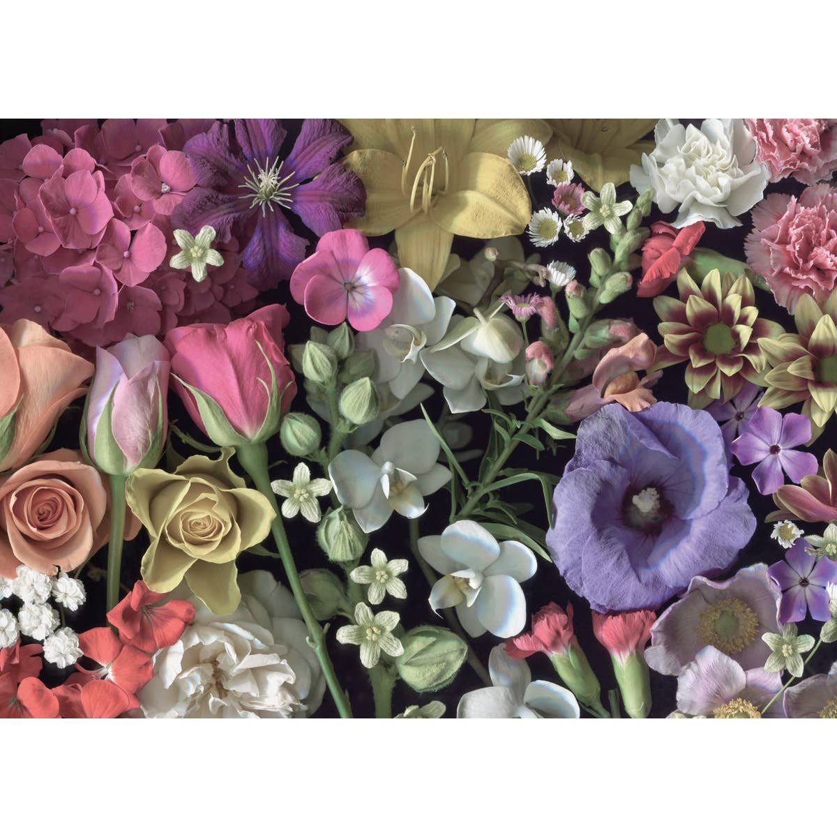 Flowers 1000 Piece Jigsaw Puzzle by Cloudberries - Floral Fun for Adults - Cloudberries Jigsaw Puzzles - Jigsaw Puzzles - The Puzzle Center - 