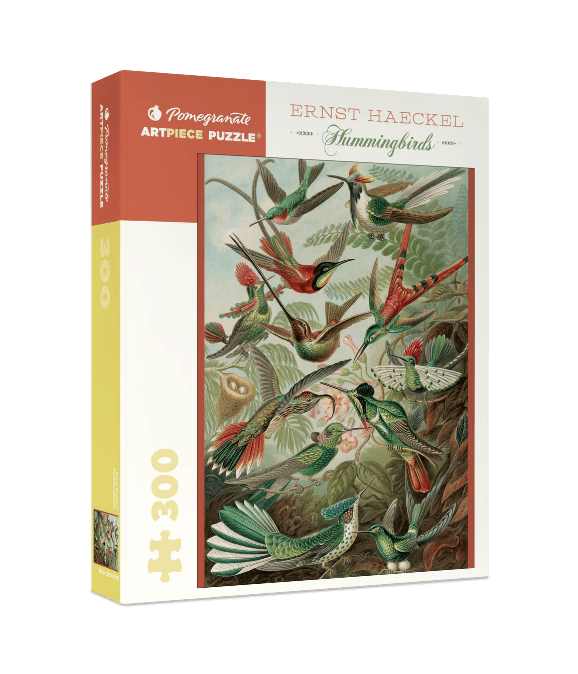 Hummingbirds 300 - Piece Jigsaw Puzzle by Pomegranate - Ernst Haeckel Art - Pomegranate - Jigsaw Puzzles - The Puzzle Center - 