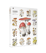 Mushrooms: Alexander Viazmensky 1000 - Piece Jigsaw Puzzle by Pomegranate - Pomegranate - Jigsaw Puzzles - The Puzzle Center - 