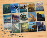 National Parks Wildlife 1000 - Piece Jigsaw Puzzle by Anderson Design Group - Willow Creek Press & Gifts - Jigsaw Puzzles - The Puzzle Center - 