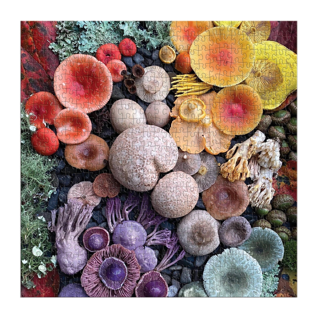 Shrooms in Bloom 500 Piece Puzzle by Galison - Galison - Jigsaw Puzzles - The Puzzle Center - 