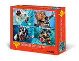 Underwater Dogs: Pool Pawty 1000 piece puzzle featuring diving dogs